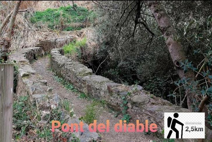 Apartamento En La Costa Del Maresme Pineda de Mar Eksteriør billede